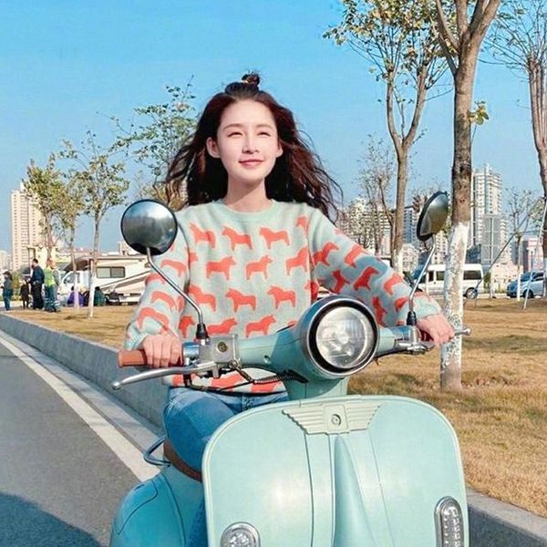 

2020 autumn winter new early autumn pullover sweater pullover knitwearknitwear knitwear jacquard pony korean version of li qin's same c, White;black