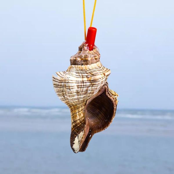 

natural conch whistle pendant shell spiral snail blowing whistle children's toy gifts survival tool souvenir instrument craft h wmtdzx