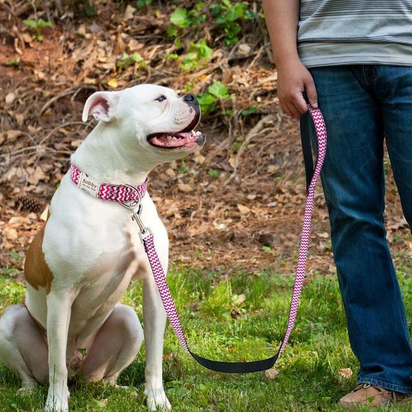 

120cm dog walking running leash nylon padded pet dog lead belt leashes for small medium do bbylpq