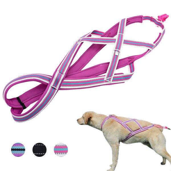 

sled big dog x rear harness, for sports