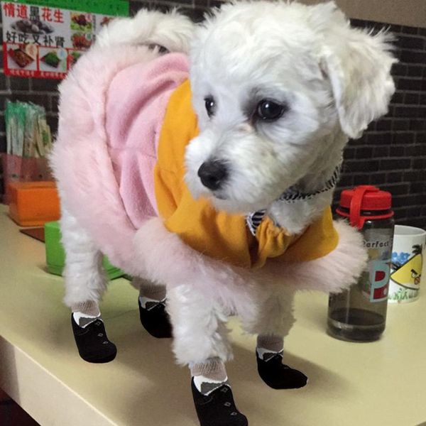 

anti-slip knit socks for pets with traction soles pet shoes boots for indoor wear slip on paw protectors for small med bbyort