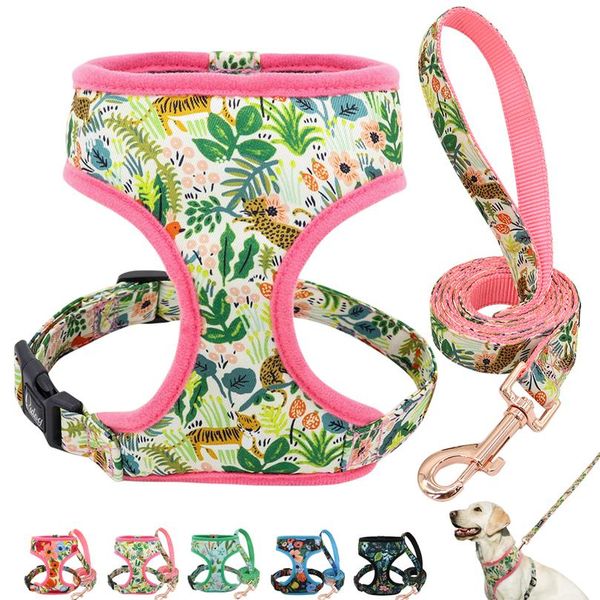 

nylon dog harness and leash set fashion printed no pull pet dog harness vest lead leashes for small medium la bbybyv