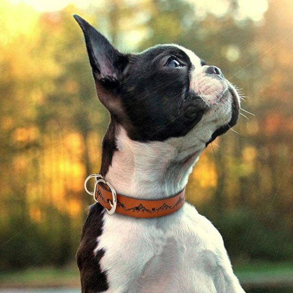 

dog collar pet leather dog collars adjustable for medium large dogs pitbull german shepherd k9 pet wmtwim