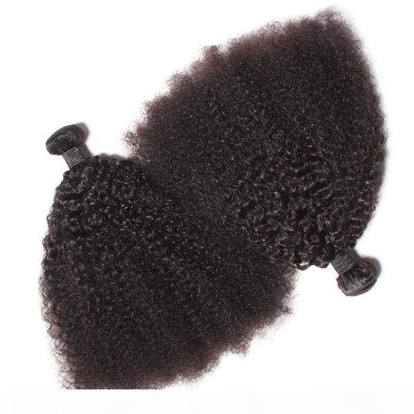 

brazilian virgin human hair afro kinky curly wave unprocessed remy hair weaves double wefts 100g bundle 2bundle lot can be dyed bleached, Black