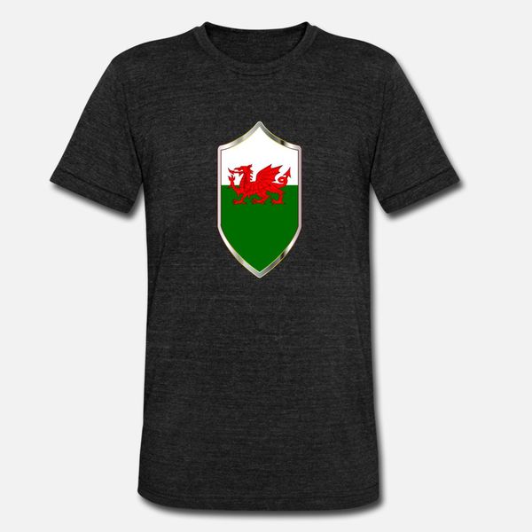 

welsh flag on a crusader shield designers graphic t shirt humor lovely sports tracksuit hoodie sweatshirt