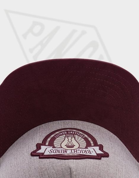 

pangkb brand bright minds cap fashion seas hip hop street dance snapback hat for men women outdoor casual sun baseball cap 201019, Blue;gray