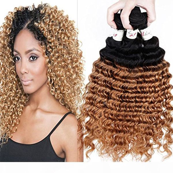 

ombre indian virgin hair deep curly 100% human hair weave brazilian peruvian malaysian deep wave curly 3pcs ombre hair extension 1b 27 color, Black;brown