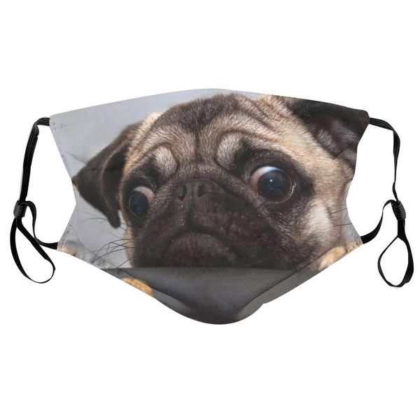 

маска для взрослых + 2 шт. фильтры моющиеся тигра собаки для печати ткань маска рта многоразовая рот крышки дышащего mondmasker mascarillas