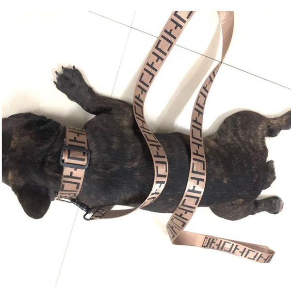 

epack ошейник поводки грудь спина шлейки мода тедди шнауцеры регулируемый ремень жилет воротник pet поводки шлейки товары для собак