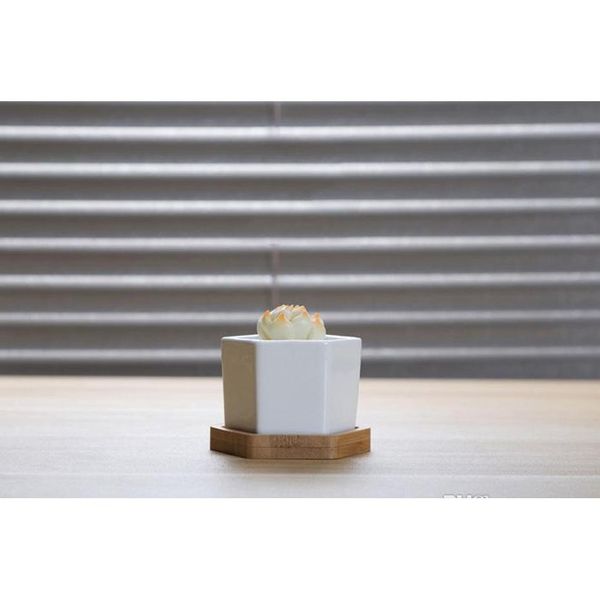 

144pcs moq ceramic succulent pots wholesale hexagon square mini white porcelain flowerpots suppliers for wedding jllphg yy_dhhome