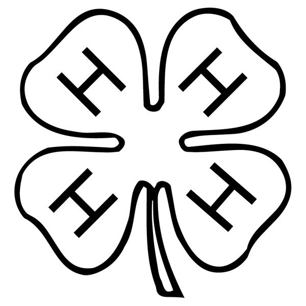 

15x15.7cm 4h clover fashion bumper decoration car sticker decal accessories c25-1235