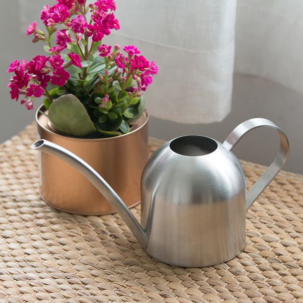 

long mouth watering can stainless steel color mini type waters flowers sprinklers gardening succulent plants water kettles 35sh l1