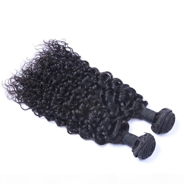 

malaysian virgin human hair jerry curly unprocessed remy hair weaves double wefts 100g bundle 2bundle lot can be dyed bleached, Black