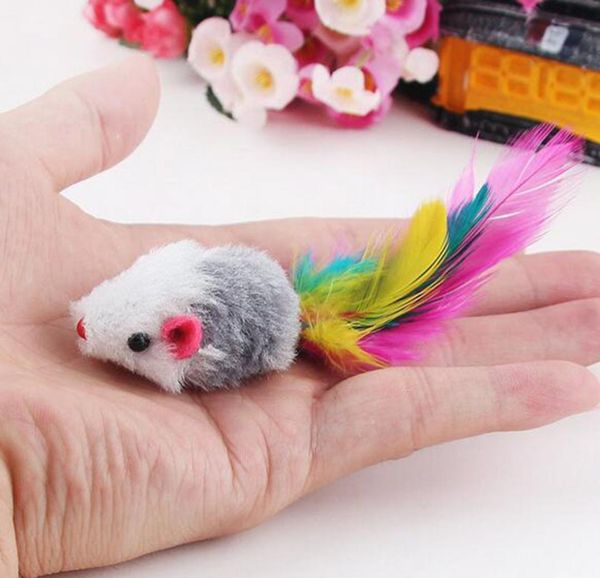 

funny color toys cat fleece toy colorful 10pcs kitten soft playing false random mouse feather sqcya bdenet