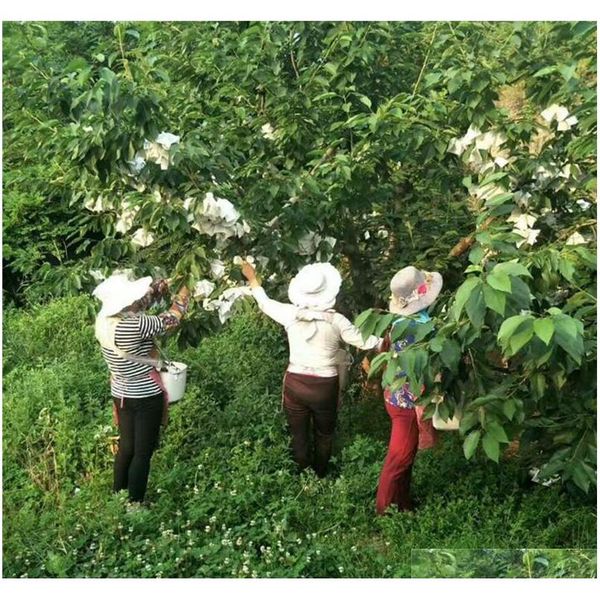 

fabric fruit plants flowers seeds protection netting bags prevent birds bugs squirrels for garden farm for protec qylbnq wphome