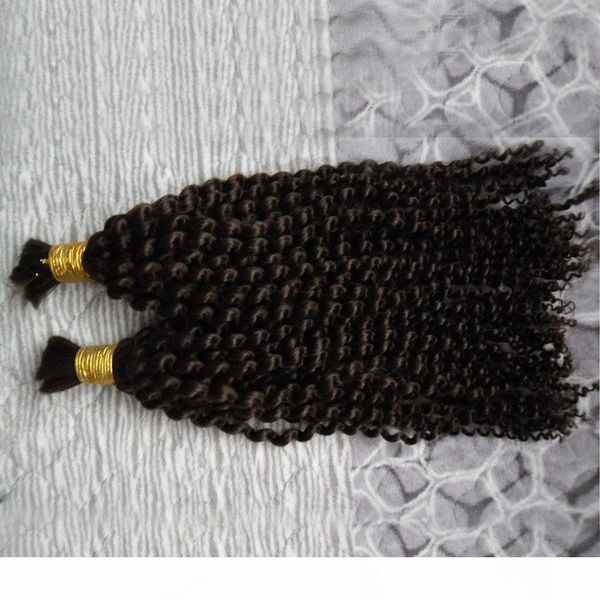 

malaysian curly hair 2 bundles human braiding hair bulk 200g no weft kinky curly human hair bundles extensions, Black