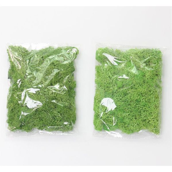 

20g/set artificial plant eternal life moss / garden home decoration wall diy flower material mini garden micro lan jlldxd warmslove