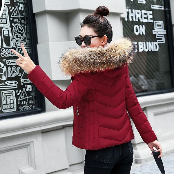 

2019 winter short jacket for women female large size coat hood women parka fur collar plus size autumn slim warm overcoat1, Black