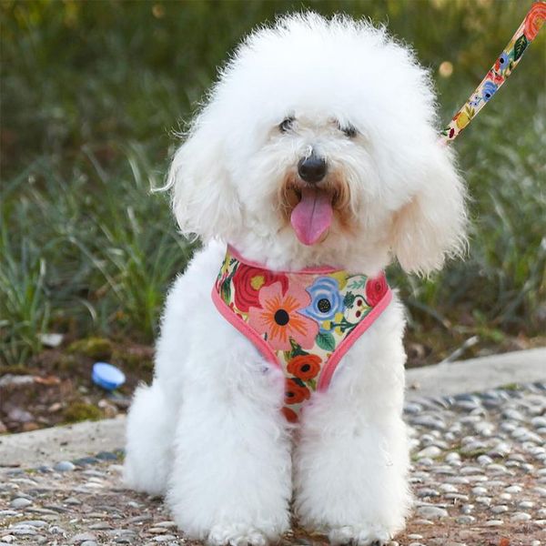 

nylon dog harness and leash set fashion printed no pull pet dog harness vest lead leashes for small medium la sqcqgk