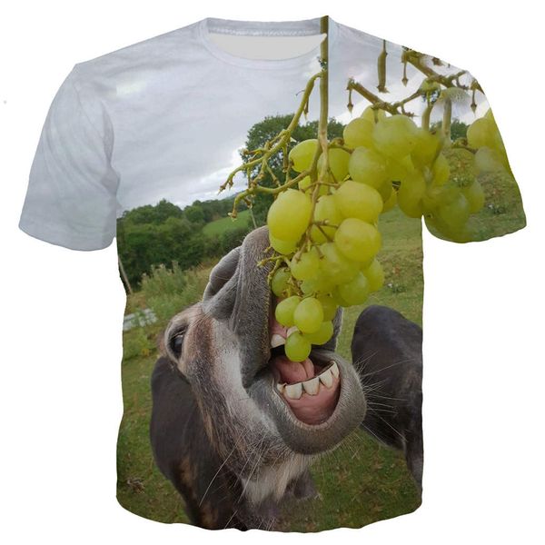 

new cool animal donkey 3d print shirts horror plus size plus size men clothing
