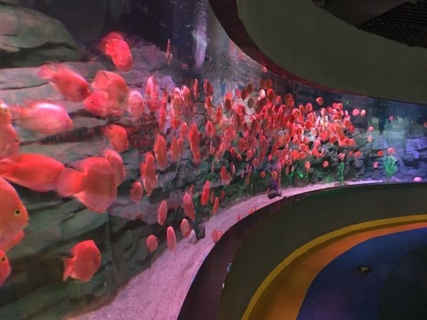 

hanfu crown round face bride 2020 new xiuhe hair ornament exaggerated show kimono headdress atmospheric style, Silver