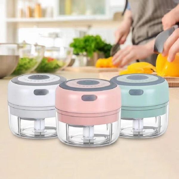 

meat grinders mini electric chopper processor plastic multi-function grinder crusher with 2 stainless steel blades for vegetables meat..1
