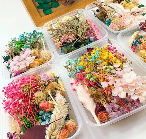 

dried jewelry necklace making epoxy for real pendant dried aromatherapy resin flower candle plants decoration dry nail flower wmtkx