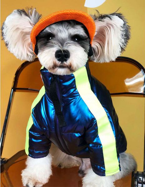 

blue down jackets teddy schnauzer pomeranian coats outdoor travel walk dog pet dress up must clothes ing