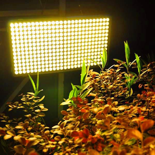 Nuovo design 300W Quadrato a spettro completo Led Grow Lights bianco di alta qualità nessun impianto di rumore luce grande area di illuminazione CE FCC ROHS