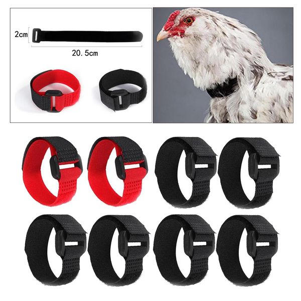 

8x anti crow chicken collar prevent chicken from screaming for rooster duck