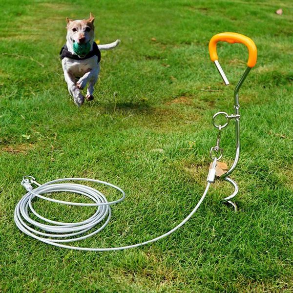 

dog collars & leashes 2021 outdoor pile stainless steel fixed leash kit generies spiral ground stake spike out for yard and camping