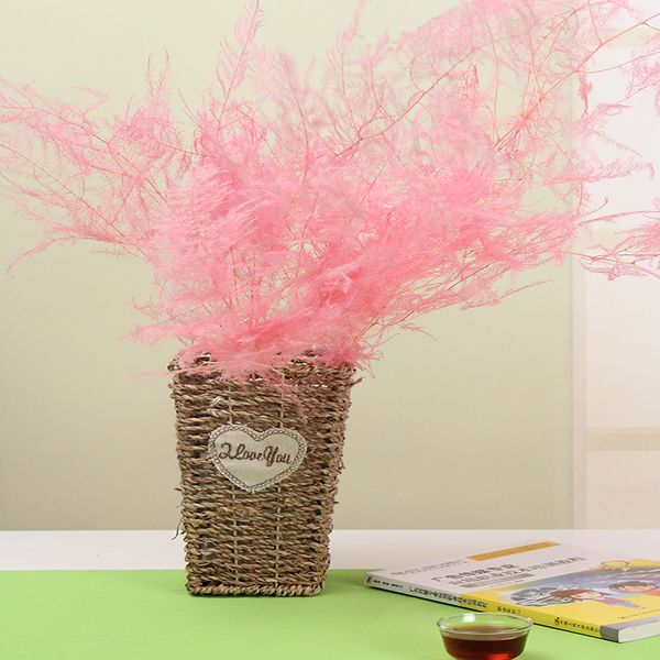

90 g/bag eternal life asparagus real plant natural dried flower decorative flower branch decoration for home living room artificial flower