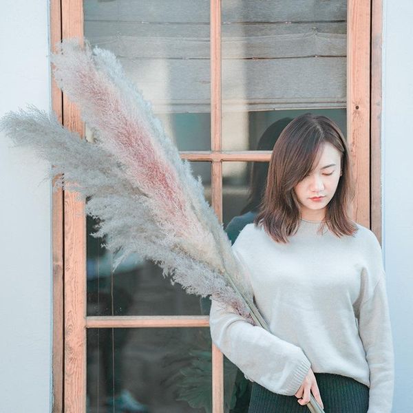 

decorative flowers & wreaths 80cm 3/5pcs dried natural color big pampas grass home decore wedding garden valentines day diy aesthetic room d