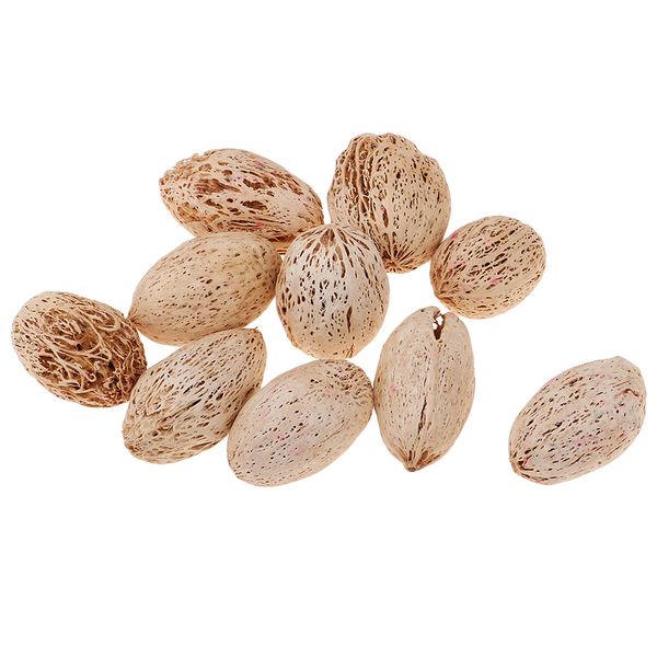 

12 pieces natural wood mango mini dried flowers table ornaments home room party christmas decorations diy scented sachets - 20-25mm