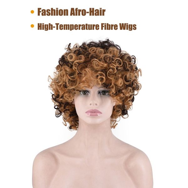 

curly hair wig styling short high-temperature fibre afro-hair w10989, Black