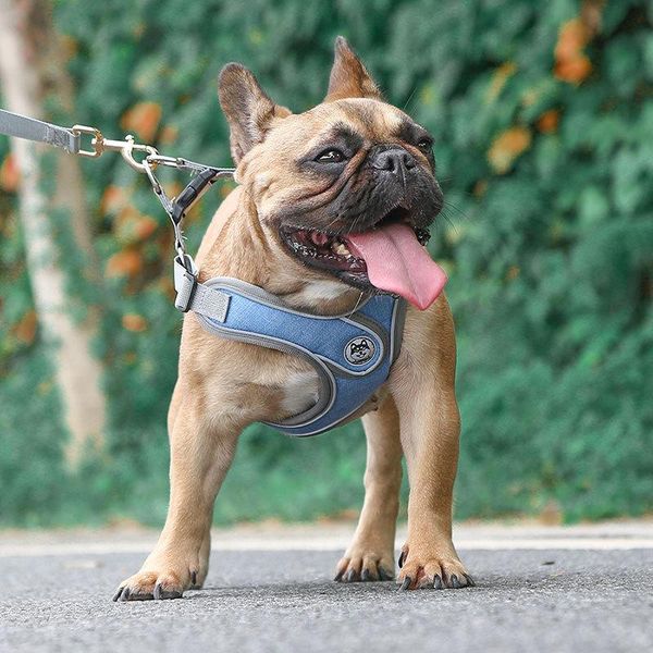 

dog breast strap pet products new small and medium-sized dog reflective anti-strike vest style leash
