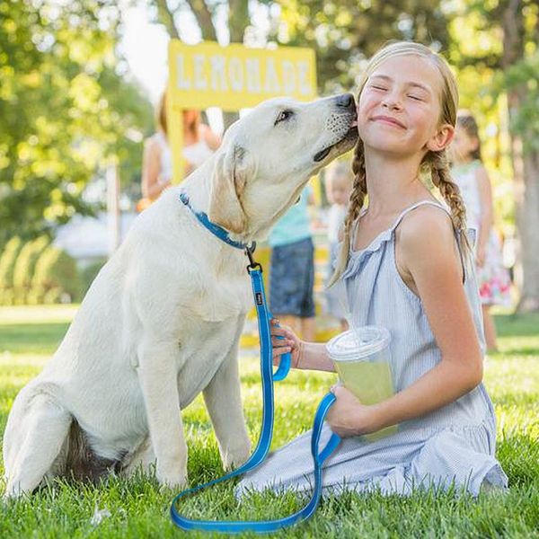 

2 handles dog leash reflective nylon double handle traffic dog lead belt for medium large dogs greater control safety sqccez