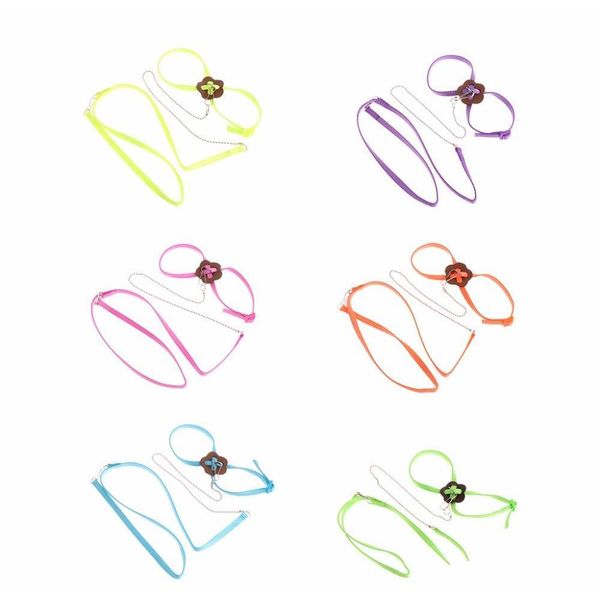 

let's pet colorful parrot bird leash outdoor adjustable harness training qylega dh_seller2010