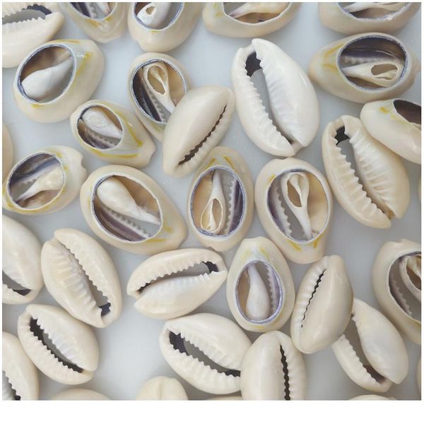 

happykiss 500g gray phnom penh slice holles natural sea shells loose beads accessories diy conch ornament home fish ta jllsks