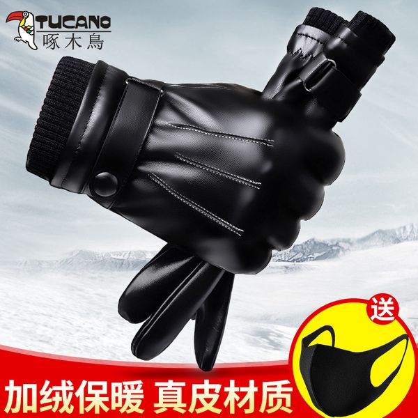 

кожа мужчины задействуя ветрозащитные, водонепроницаемые, плюшевый и теплый, перчатки сенсорного экрана для мотоцикла езды зимой, Blue;gray