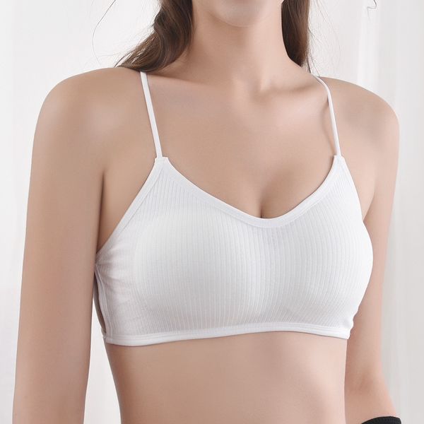 

3pieces/lot bra women tube seamless underwear padded beauty back bra lingerie female crop top, Red;black
