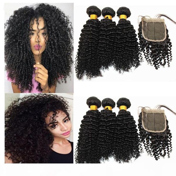 

raw kinky curly hair bundles with 4x4 hair closure brazilian 100% virgin human hair weaves with lace closure natural color 8-20 inch, Black;brown