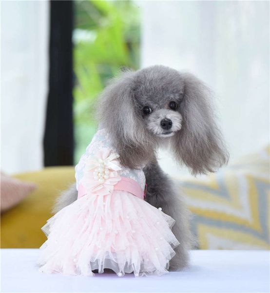 

special price golden crown baby products new pet summer princs skirt dog cloth
