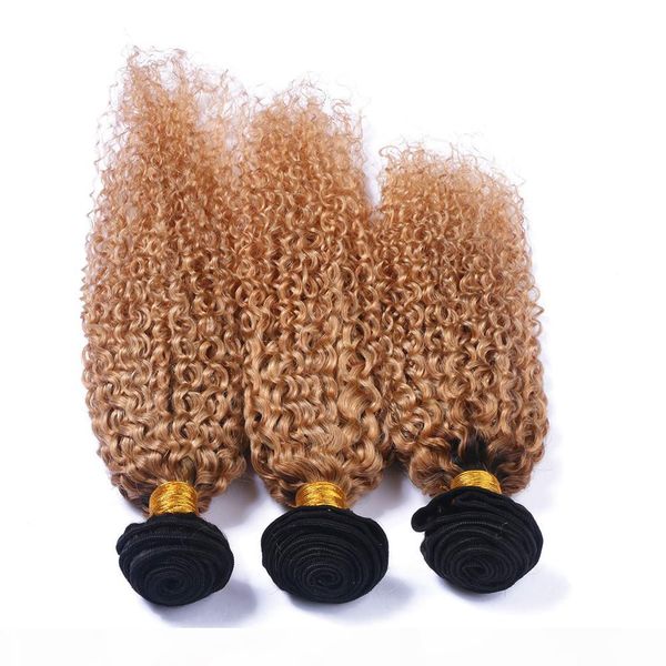 

brazilian virgin hair ombre tone 1b 27 curly human hair bundles brazilian deep curly jerry curl dark root honey blonde hair, Black;brown