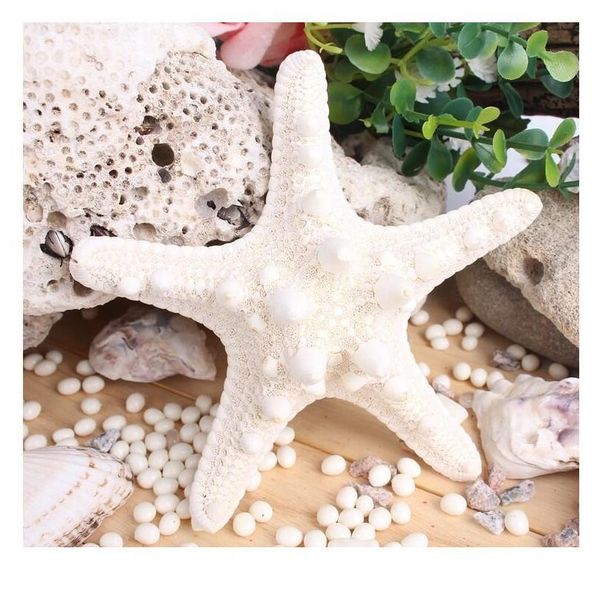 

3pcs mediterranean style aquarium natural craft shell artificial sea star fish tankeco ornaments wedding party home jllljd