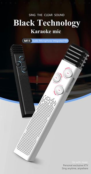

microphone dsp digital audio chip professional tuning bel canto microphone hifi level dual speaker built-in equalizer