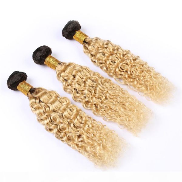 

malaysian wet and wavy #1b 613 ombre weave human hair bundles dark roots blonde ombre virgin hair extensions water wave 3 bundles lot, Black;brown
