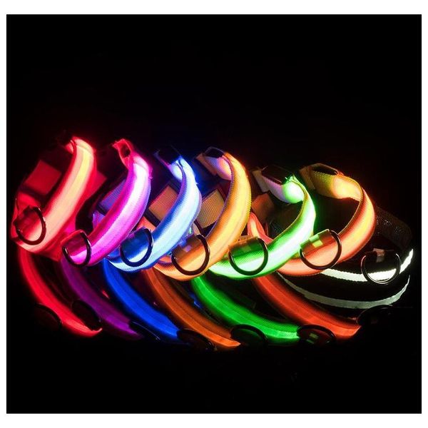 

led pet dog collar night safety flashing pets collars glow in the dark dog leash dogs luminous fluorescent collars pet supplies steot