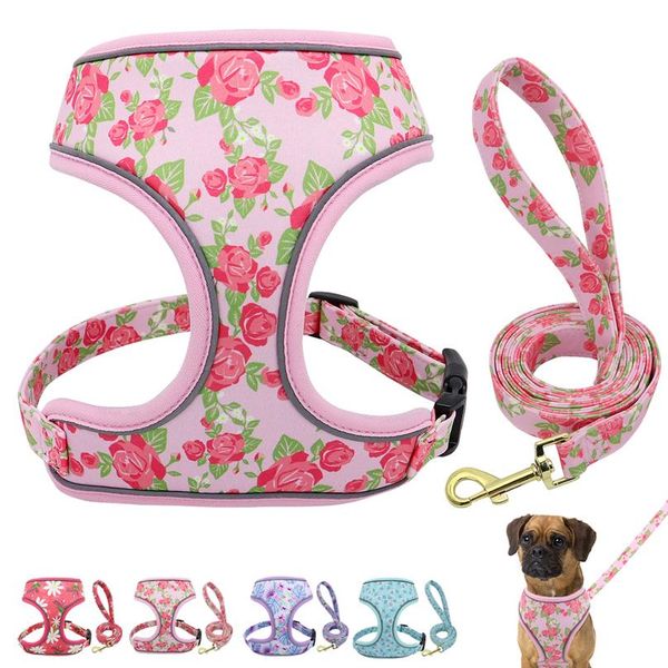 

reflective dog harness and leash set fashion printed no pull pet dog harness vest lead leash for small medium la sqckeh