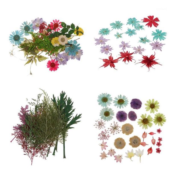 

decorative flowers & wreaths pack of natural dried flower real mixed for diy resin ornament craft card making scrapbooking embellishment flo